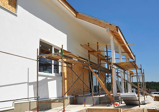 Best Mold Damage Restoration  in Hebbronville, TX